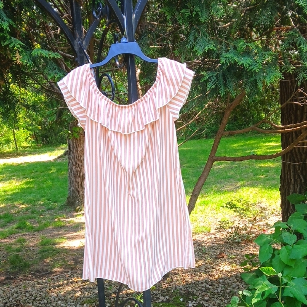 Ambiance Pink and White Striped Dress Size LG